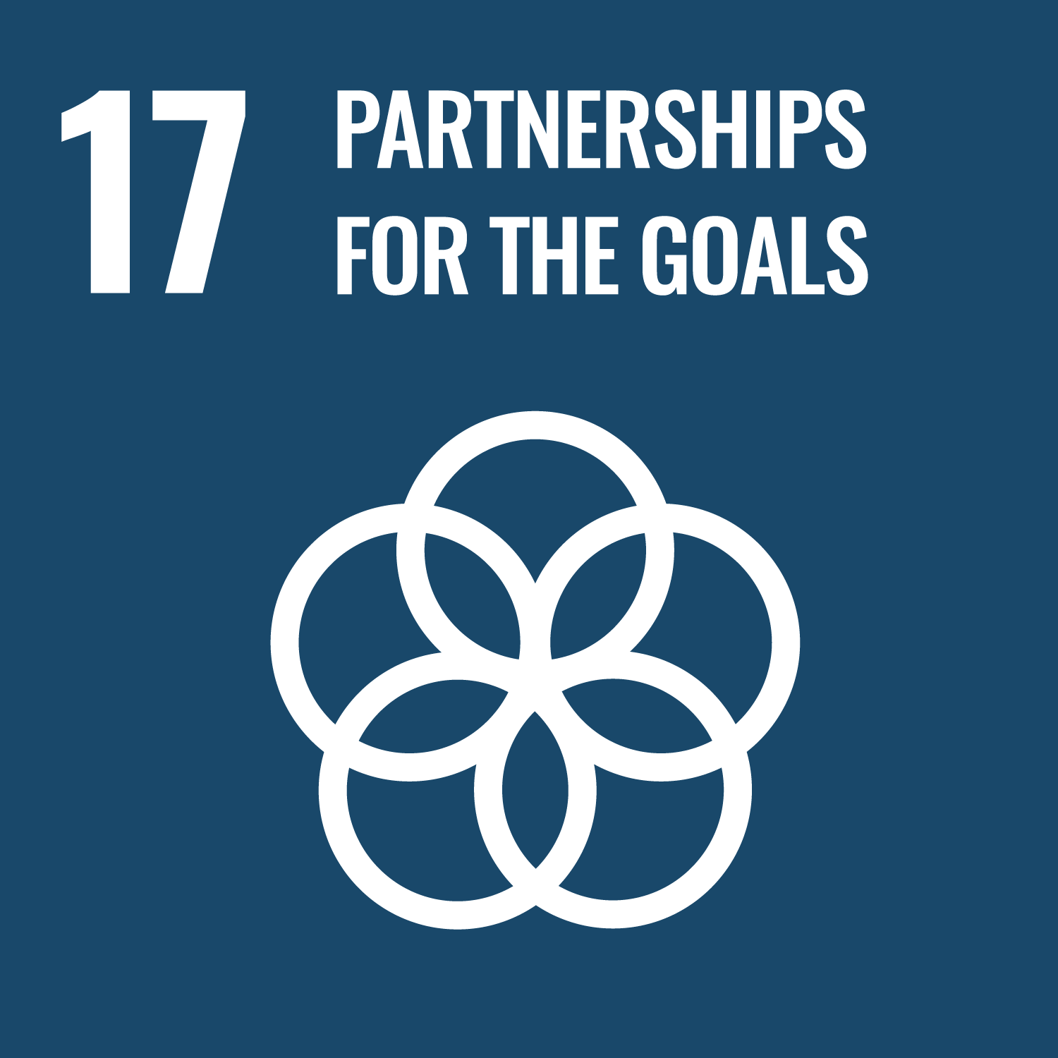 SDG 17: Partnerschaften zur Erreichung der Ziele